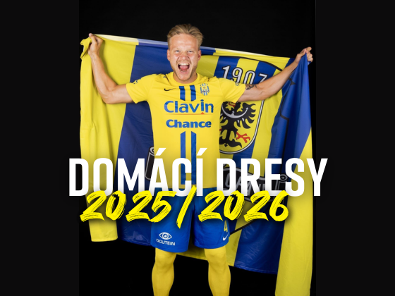 dresy